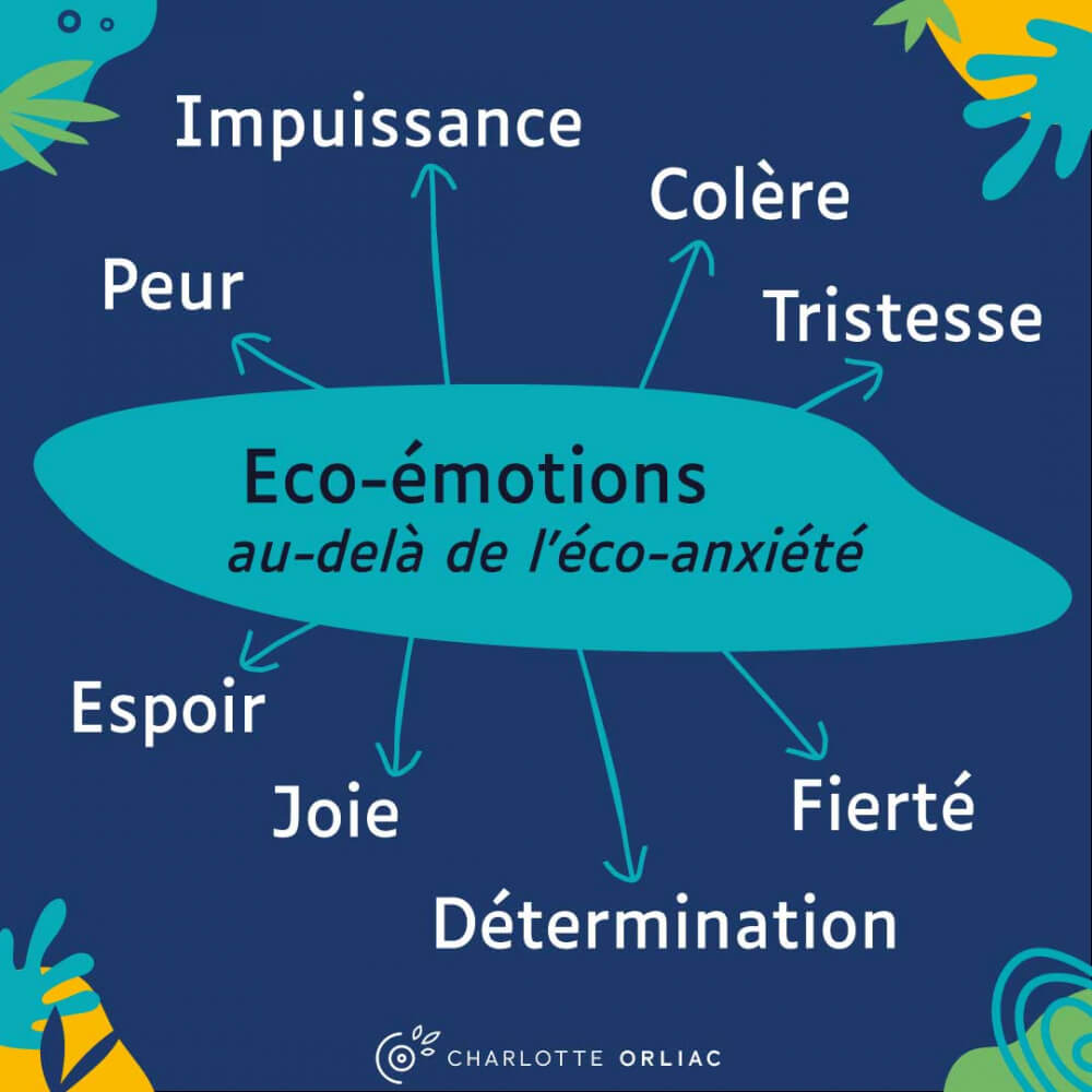 éco-émotions, au-delà de l'éco-anxiété