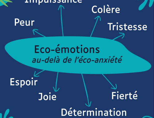 Eco-émotions, au-delà de l’éco-anxiété